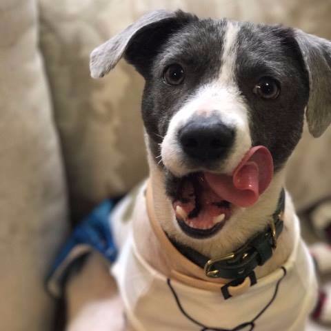 jlaicsgo's profile picture. 