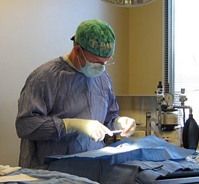 SouthCareVet's profile picture. comprehensive, compassionate animal health care