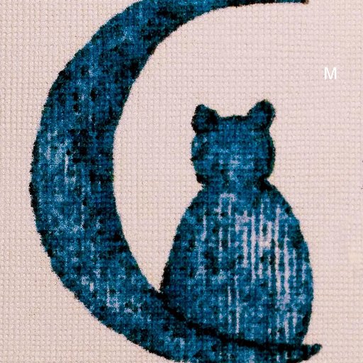 RitaInterni's profile picture. .. si diventa ciò che si pensa, questo è l'eterno mistero.