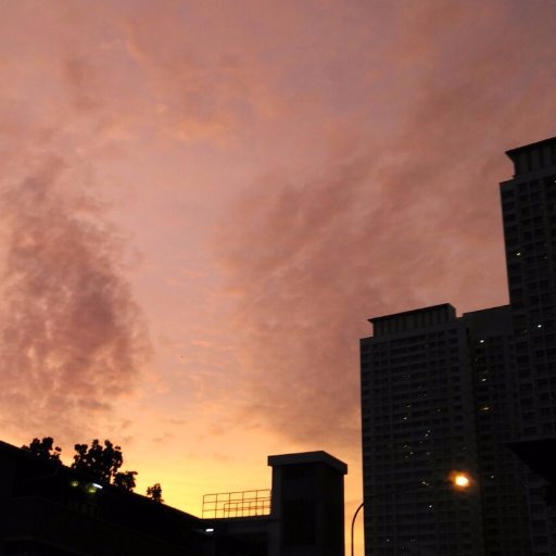 phantomofmymind's profile picture. no tale is more compelling than one that never ends :)