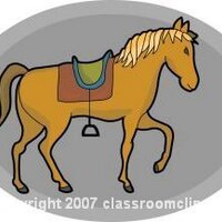 Circus Rider (@thecircusrider) 's Twitter Profile Photo