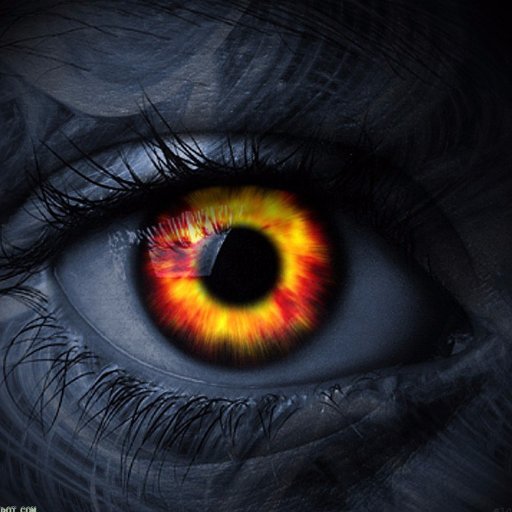 Two things are infinite: the #universe and #human stupidity; and I'm not sure about the universe.