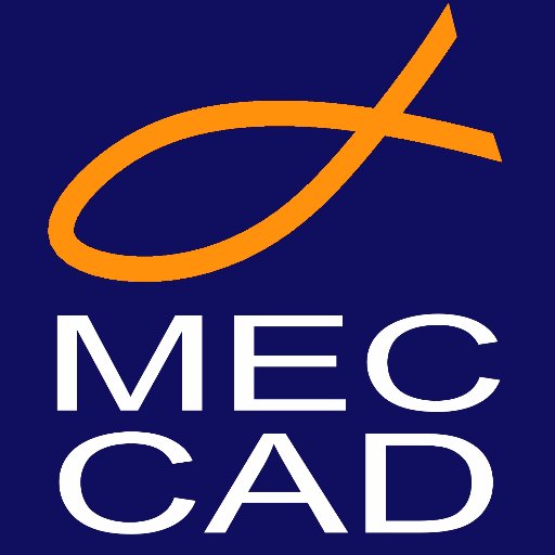 MEC CAD #scaffolding design #software house.