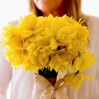 Louise (@louiseindevon) 's Twitter Profile Photo