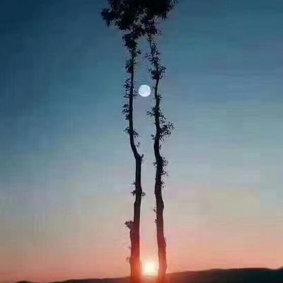 yldmqy's profile picture. 