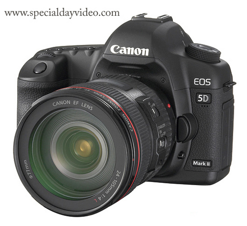 specialdayvideo's profile picture. Video & Photography