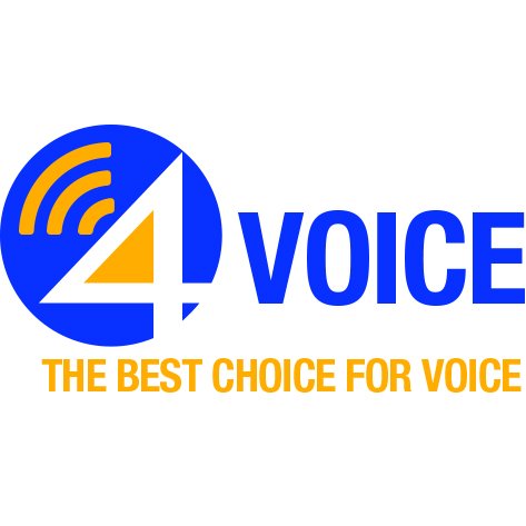 4Voice’s telecom experts analyze all facets of your voice communication needs to deliver a customized solution that fits the budget.
