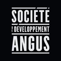 SDA (@soc_dev_angus) 's Twitter Profile