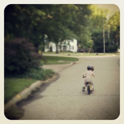 Cdridley's profile picture. #resist #persist 
bringing blue state sensibilities to flyover country