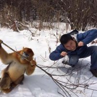 Fengzhi He (@fengzhihe) 's Twitter Profile Photo Fengzhi He (@fengzhihe) 's Twitter Profile Photo