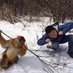 Fengzhi He (@fengzhihe) Twitter profile photo Fengzhi He (@fengzhihe) Twitter profile photo
