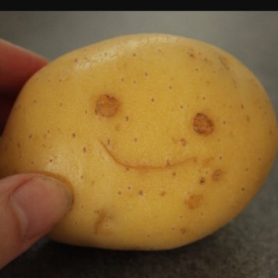 marylynne_reed's profile picture. 