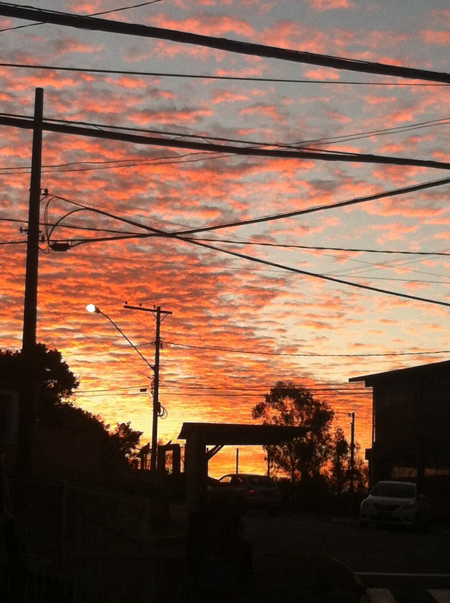 Nita_1803_'s profile picture. Queria ser poeta mas poeta nn posso ser pois poeta pensa em tudo e eu só penso em vc💥😔