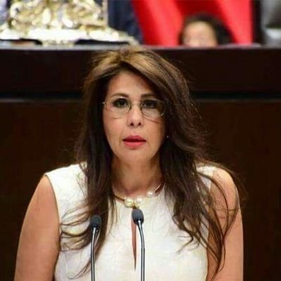 Diputada Federal por el Distrito XVII en el Estado de Jalisco