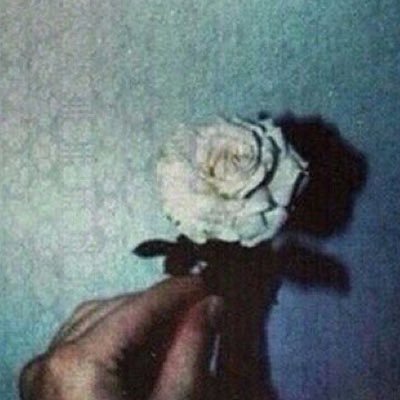 سبحان الله و بحمده ، سبحان الله العظيم