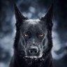 HrabiaOn's profile picture. Randap (Roundup) na lewactwo i targowicę. Nie nadstawiam drugiego policzka, tylko walę na odlew. Polescape 🇵🇱