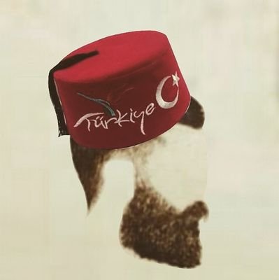 Kendinee_Laik's profile picture. Günahın neresinden dönersen sevaptır.