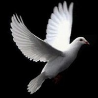 Angela P Castro C(@angelapcastroc) 's Twitter Profile Photo Angela P Castro C(@angelapcastroc) 's Twitter Profile Photo