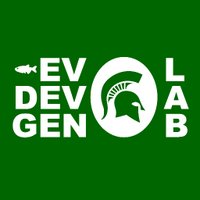 Braasch Lab @ MSU(@FishEvoDevoGeno) 's Twitter Profile Photo