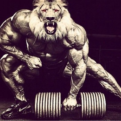 asr3_br8's profile picture. 