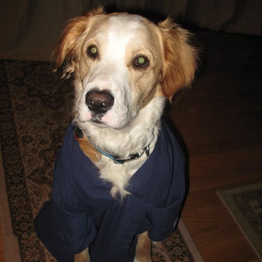 EMIMMD's profile picture. Love EBM. Believe in Kindness, Honesty, Integrity, Humanity, and Character. My words do not represent my employer, Org, or Corp. - Also shared with my Partner