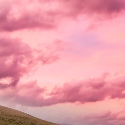 zx_12_'s profile picture. 