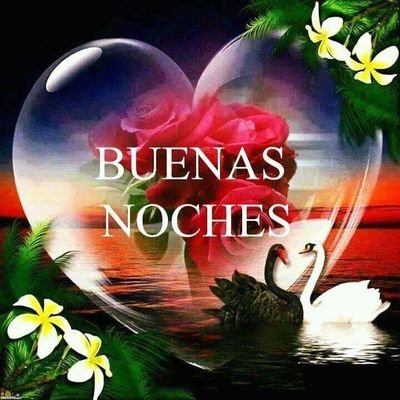 PaulaTo75160107's profile picture. 