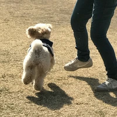 OsituOsaretu's profile picture. 固有名詞は私の持ち物ではない。それが私の名であっても。