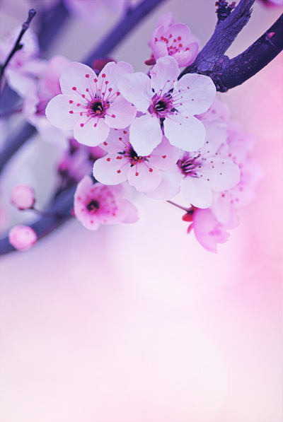 xAMAFx's profile picture. new to twitter, and already liking it