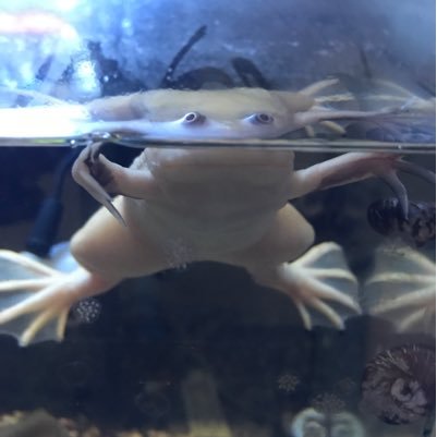 yatamata15823's profile picture. 無言で失礼します。