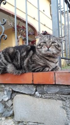 Mariapa03180437's profile picture. Nn mi faccio mettere i piedi in testa da nessuno.