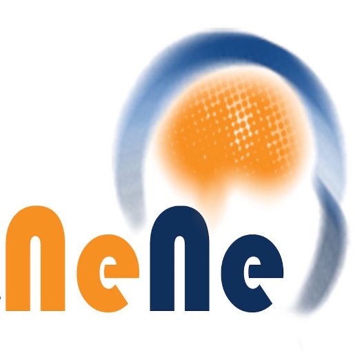 NeneFundacion Profile Picture