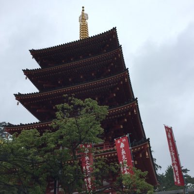 matoi_takahata's profile picture.