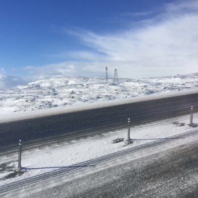 princesfoxyroxy's profile picture. rixt private, only allowing close/people that are chill