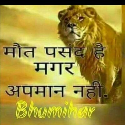 Vinayra74838898's profile picture. Jai hind