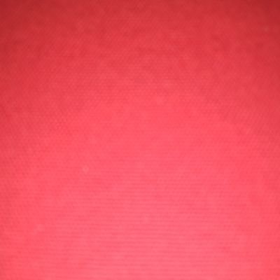 LauraAbrar's profile picture. 