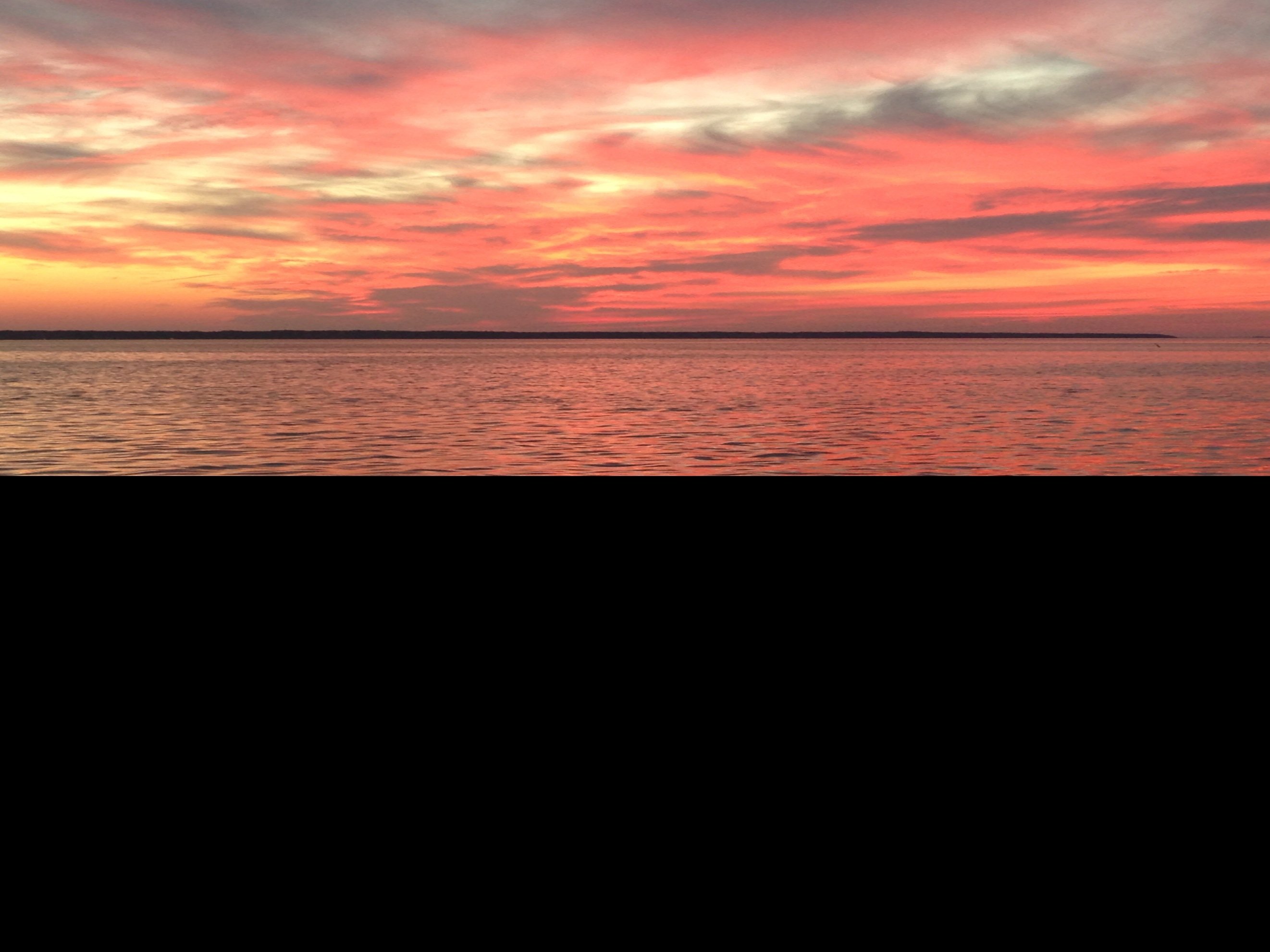 LauraK82421871's profile picture. Artist. Democracy and freedom lover.