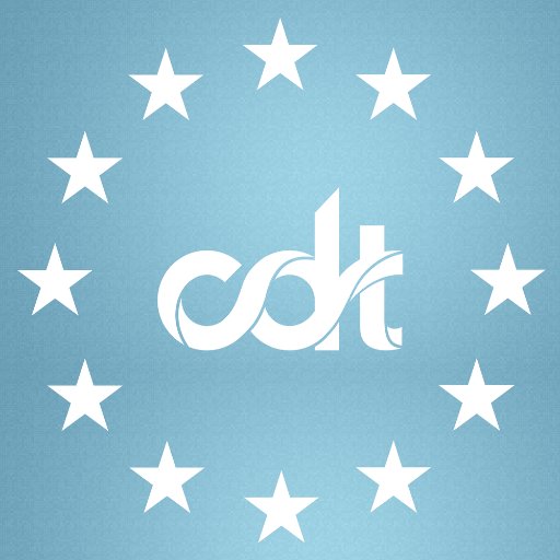 Centre for Democracy & Technology Europe Profile