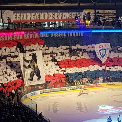 _Janele's profile picture. #aufDynamo #FTTB