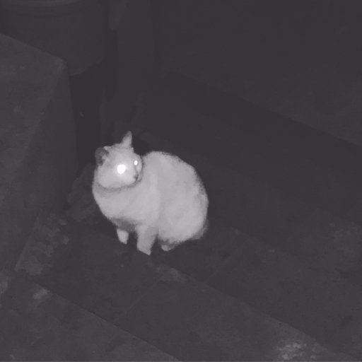 tt_kyc's profile picture. 