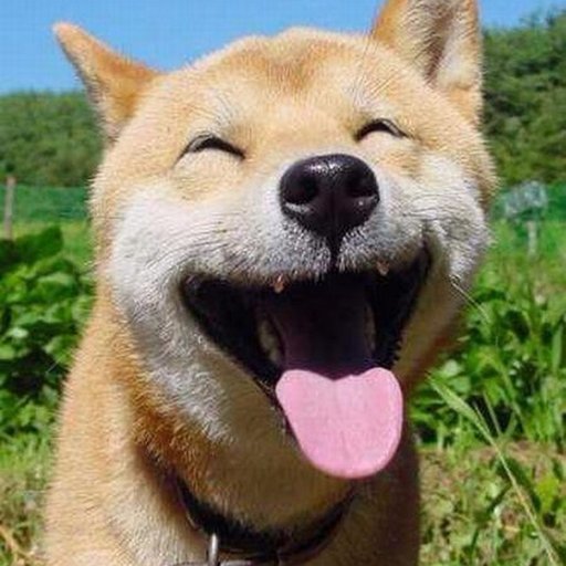 cell94400's profile picture. 