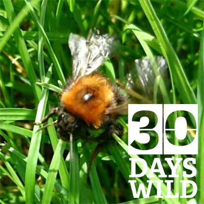 EmmsG22's profile picture. Busy mama with too many hobbies and not enough time to do them! Music, drama, nature, trains, photography, oddments, things and stuff