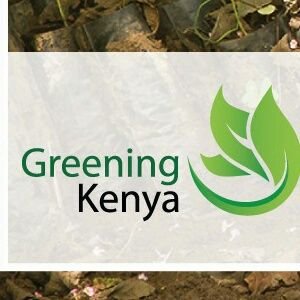 We are a fun bunch of Media and PR professionals, brought together by our passion for Greening Kenya. Our Goal:  100,000 trees before 5th June 2018.