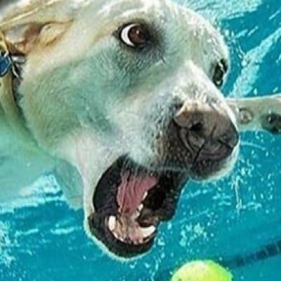 Blah57411124's profile picture. 