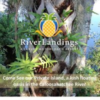 Riverlandings(@Rlandings) 's Twitter Profile Photo