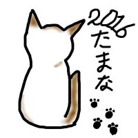 たまな (@mitamatoki) 's Twitter Profile