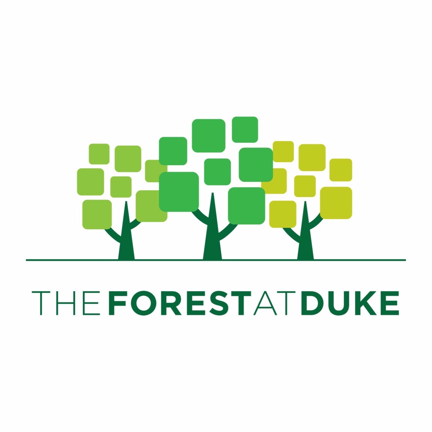 Celebrating 25 years, The Forest at Duke is a continuing care retirement community the redefines retirement, providing vibrant living in the heart of Durham, NC