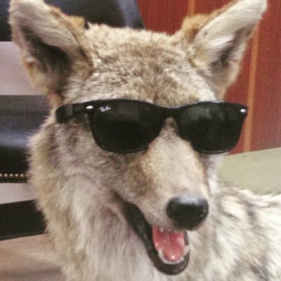 5_oh_2's profile picture. 