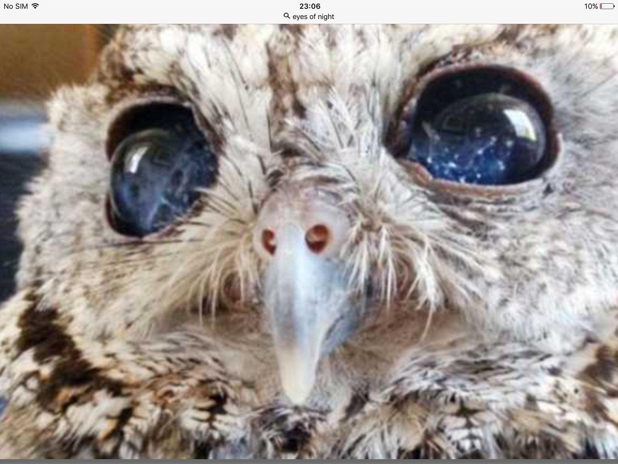 AlWolfe9's profile picture. Daft #drakemoonarmy