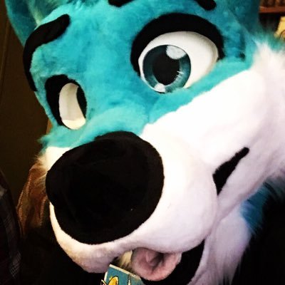 19 years old, cyan Husky, bisexual, and all around a sweet guy :3 Pro wrestling is bae